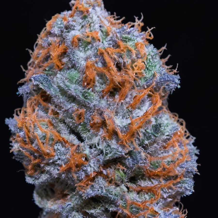 Banana Punch — 3★ Dry Static Hash