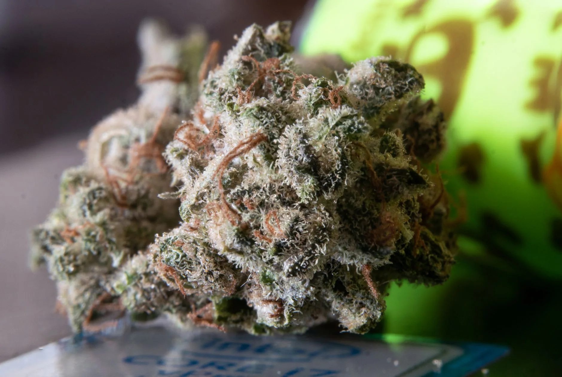 Geórgia amplia acesso ao cannabis medicinal com nova lei