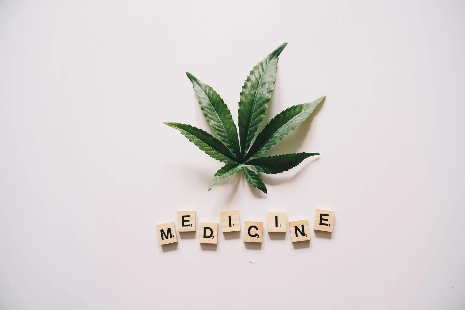Veterans Cannabis Care Oferece Cartões de Cannabis Medicinal Gratuitos para Veteranos da Flórida