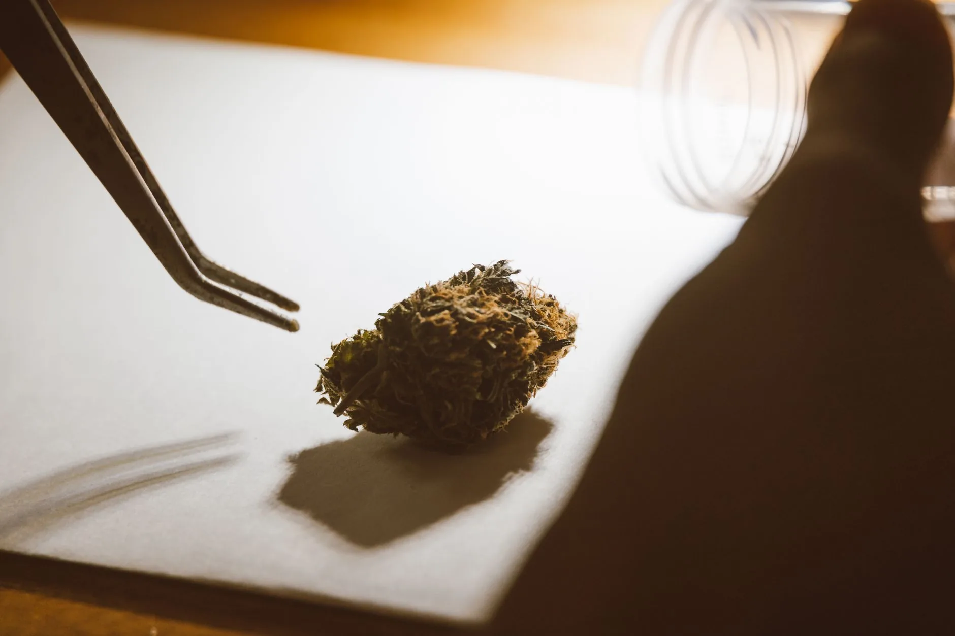 Repressão cresce às associações de cannabis em Brasil